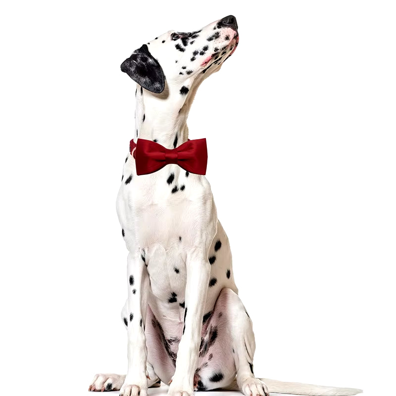Dark Red Silk Dog Collar with Bowtie Puppy Collar Adjustable Dog Collar Pet Gift for Small Medium Large Dog