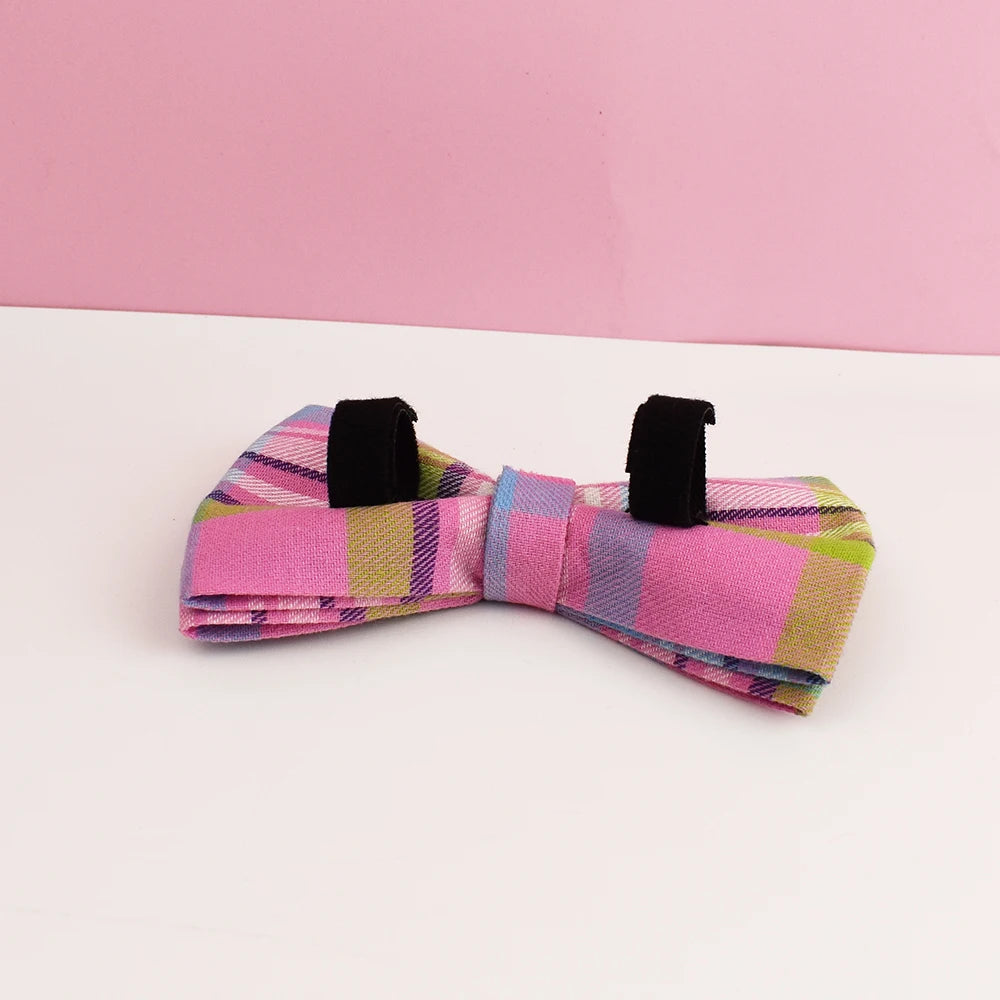 Luxury Dog Leash and Collar ，Retractable Walking Collar for Small and Big Pet .