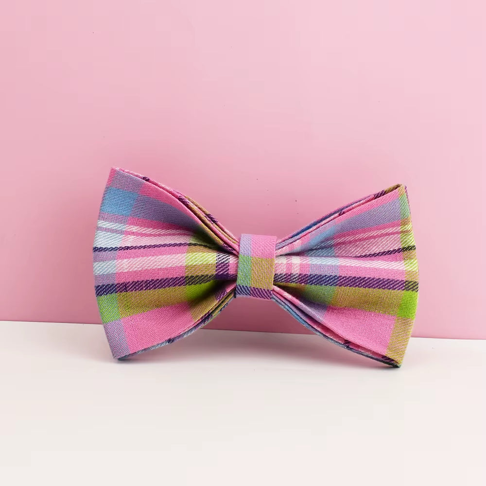 Luxury Dog Leash and Collar ，Retractable Walking Collar for Small and Big Pet .