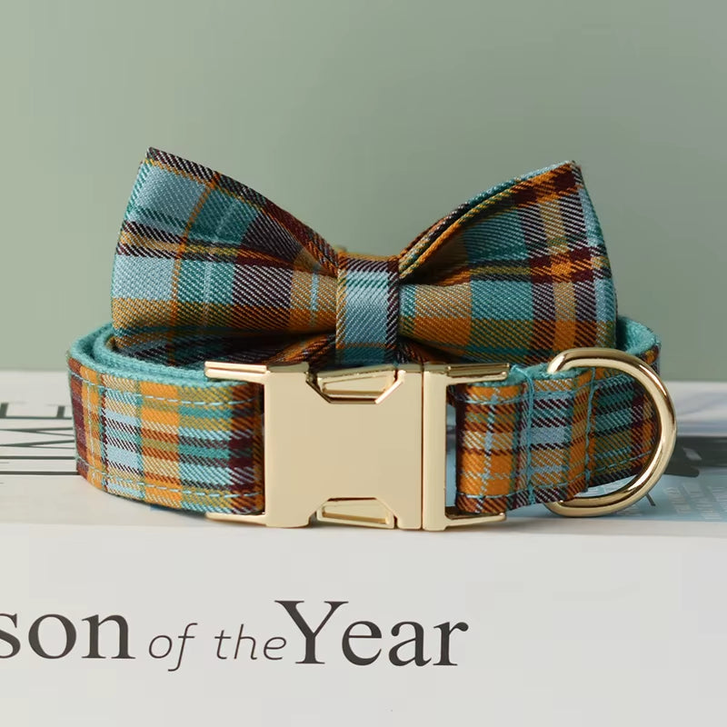 Luxury Dog Leash and Collar ，Retractable Walking Collar for Small and Big Pet .